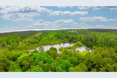 231 Holley Pond Road, Batesburg, SC 29006 - Photo 13