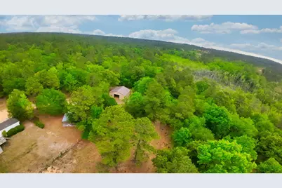 231 Holley Pond Road, Batesburg, SC 29006 - Photo 17