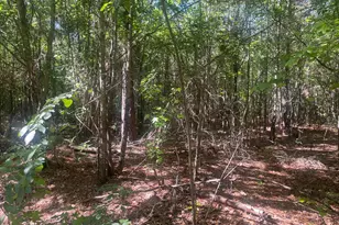 1716 Ranger Rd, Warrenton, GA 30828 - Photo 47