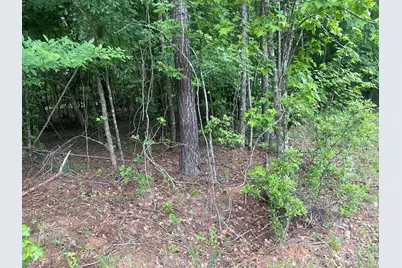 1716 Ranger Road, Warrenton, GA 30828 - Photo 39