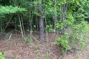 1716 Ranger Rd, Warrenton, GA 30828 - Photo 39