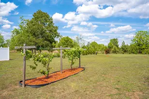 3528 Council Rd, Blythe, GA 30805 - Photo 47