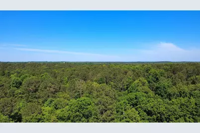 11.37 Ac Hwy 220 E, Lincolnton, GA 30817 - Photo 5