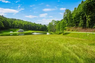 1651 Winding Stairs Rd, Topton, NC 28781 - Photo 3