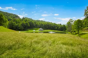 1651 Winding Stairs Rd, Topton, NC 28781 - Photo 5