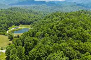 1651 Winding Stairs Rd, Topton, NC 28781 - Photo 73
