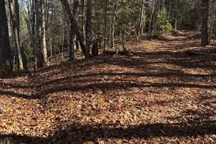 Lot 60 Thundering Hill, Murphy, NC 28906 - Photo 1