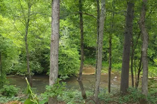 721 Holly Pt Dr, Murphy, NC 28906 - Photo 7
