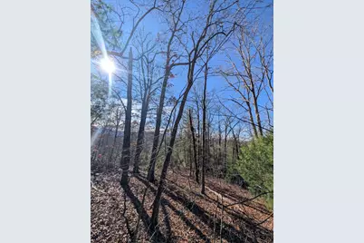 Lot 31 Tower Falls Lane, Hayesville, NC 28904 - Photo 11