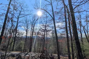 Lot 31 Tower Falls Ln, Hayesville, NC 28904 - Photo 1