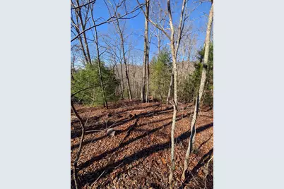 Lot 31 Tower Falls Lane, Hayesville, NC 28904 - Photo 13