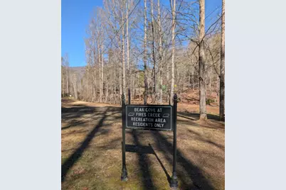 Lot 31 Tower Falls Lane, Hayesville, NC 28904 - Photo 21