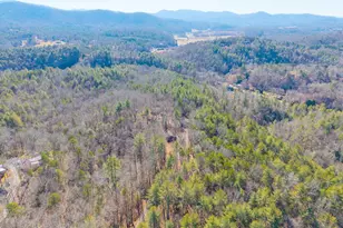95 Laurel Cove Terrace, Murphy, NC 28906 - Photo 3