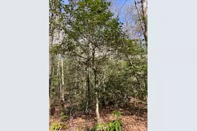 Lot 2 Morris Creek Road, Andrews, NC 28901 - Photo 3