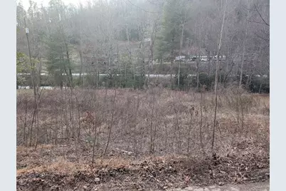Lot 3 Riverview, Robbinsville, NC 28771 - Photo 3