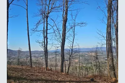 38 Trophy Buck Point, Murphy, NC 28906 - Photo 3