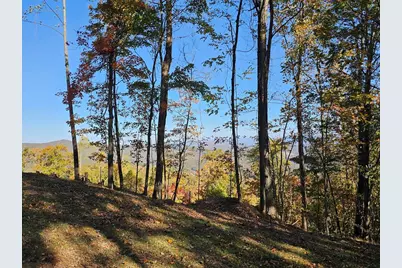 38 Trophy Buck Point, Murphy, NC 28906 - Photo 7