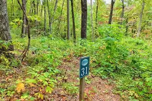 Lot 31 Skyview Trail, Hayesville, NC 28904 - Photo 1