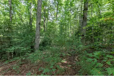 Lot 18 The Ridges Of Carolina, Murphy, NC 28906 - Photo 23