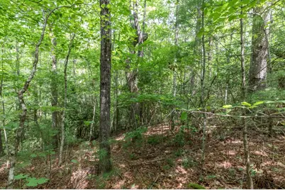 Lot 18 The Ridges Of Carolina, Murphy, NC 28906 - Photo 11