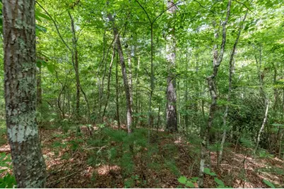 Lot 18 The Ridges Of Carolina, Murphy, NC 28906 - Photo 13