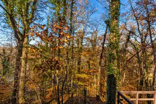 35 Van Horn St, Murphy, NC 28906 - Photo 45