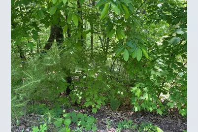 Lot 33B Grandview Drive, Hayesville, NC 28904 - Photo 3