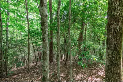 Lot 56 Indian Rock Springs, Murphy, NC 28906 - Photo 15