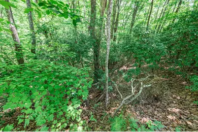 Lot 56 Indian Rock Springs, Murphy, NC 28906 - Photo 13