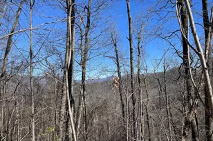 Lot 68J Grandview Dr, Hayesville, NC 28904 - Photo 1
