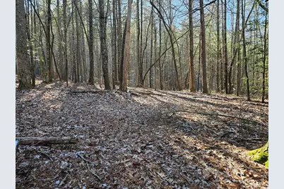 0 Beaverdam Road, Murphy, NC 28906 - Photo 5