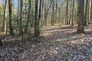 0 Beaverdam Rd, Murphy, NC 28906 - Photo 1