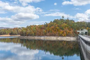 15 Lonesome Pine, Murphy, NC 28906 - Photo 63