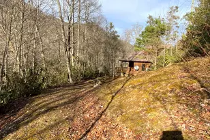 60 Porterfield Gap Rd, Robbinsville, NC 28771 - Photo 29