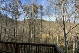 60 Porterfield Gap Rd, Robbinsville, NC 28771 - Photo 25