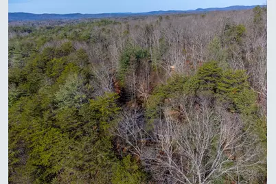 397 Kennelly Loop, Murphy, NC 28906 - Photo 39