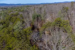 397 Kennelly Loop, Murphy, NC 28906 - Photo 39