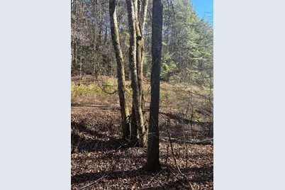 1.03 Deep Forest Road, Murphy, NC 28906 - Photo 5
