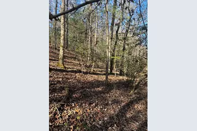 1.03 Deep Forest Road, Murphy, NC 28906 - Photo 17