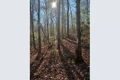 1.03 Deep Forest Road, Murphy, NC 28906 - Photo 3
