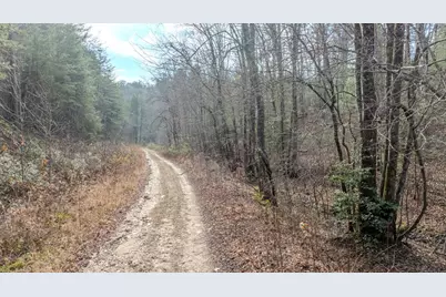 1.03 Deep Forest Road, Murphy, NC 28906 - Photo 31
