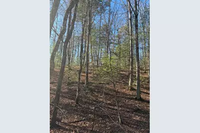 1.03 Deep Forest Road, Murphy, NC 28906 - Photo 21