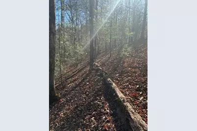 1.03 Deep Forest Road, Murphy, NC 28906 - Photo 13
