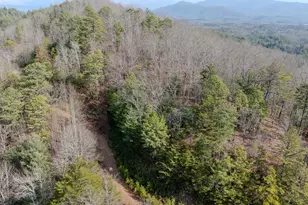 103 Deep Frst Rd, Murphy, NC 28906 - Photo 1