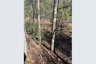1.03 Deep Forest Road, Murphy, NC 28906 - Photo 11