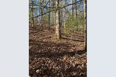 1.03 Deep Forest Road, Murphy, NC 28906 - Photo 19