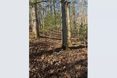 1.03 Deep Forest Road, Murphy, NC 28906 - Photo 23