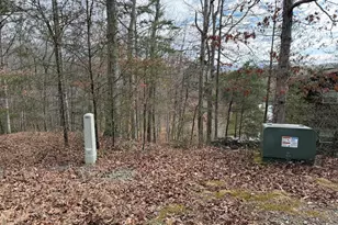 4 5 &6 Mountain Wood Dr, Murphy, NC 28906 - Photo 1