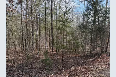 4, 5 &6 Mountain Wood Drive, Murphy, NC 28906 - Photo 13