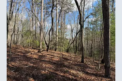4, 5 &6 Mountain Wood Drive, Murphy, NC 28906 - Photo 3
